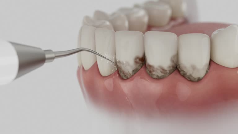 Reliable Dental contractor in Richmond, UT by Dentist Open Now